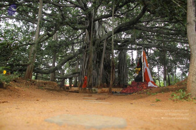 20130910 Photo 1042 1BftCYWUB64Ga 22M0hmFk7eo-BCGk9sQ.JPG