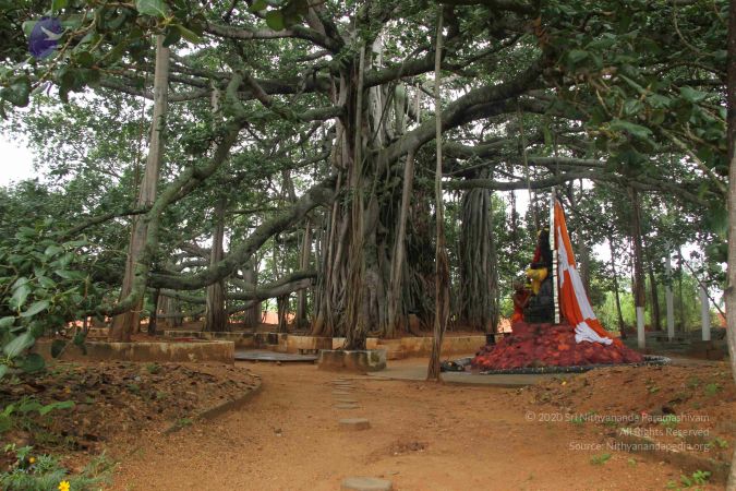 20130910 Photo 1043 1wvjaTWrVUJLPTJLU0YPhe6XSOd6WvlbT.JPG