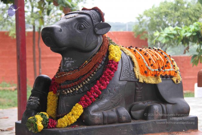 20130911 Photo 1026 1QUaADwLmfBGWWGTzV9s7tAc9S6cq26dU.JPG