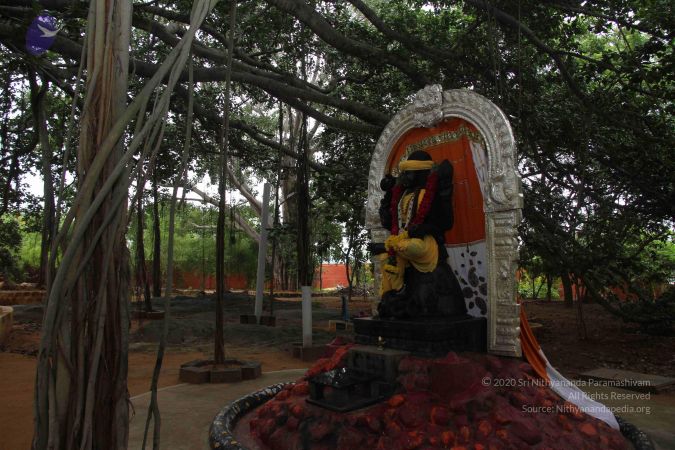 20130911 Photo 1027 1Z2jl3UIyz2aECfEII fV2h7XfFQ 4ptj.JPG