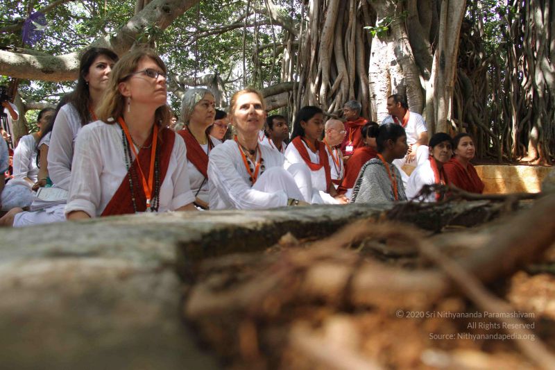 File:20130913 Photo 1091 17UMr1C48W2sxKYiogJJ2FswKvWi32e5J.JPG