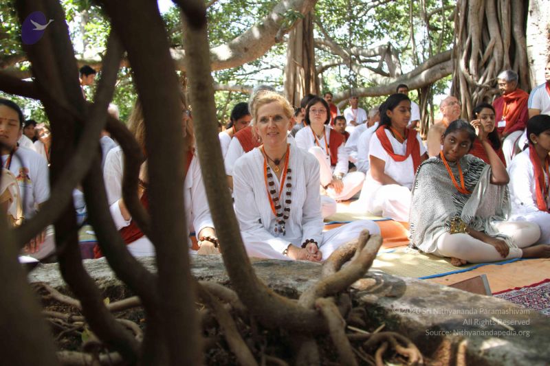 File:20130913 Photo 1097 1BrhGex5-cHtDX94QWgZxHe3hf4mjUi9N.JPG