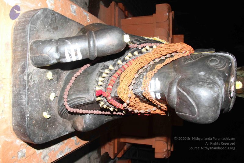 File:20130913 Photo 1227 1MKrrpBnJaOg0yVutm5Ewy0957v-Z1OHM.JPG