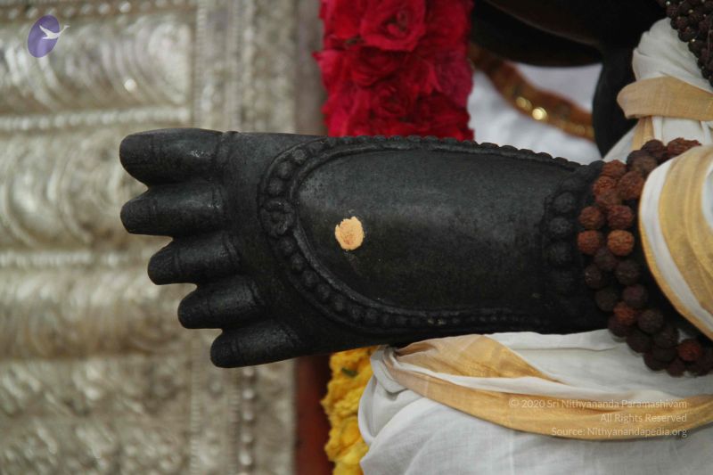 File:20130915 Photo 1005 1zNaLUOvpkVCUFGRVZiNKghANmU-zMs3S.JPG