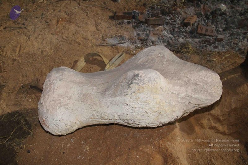 File:20130916 Photo 1001 1R a8dh9t6Ku4O9Ygyk-GYZKVBp7p5qm0.JPG