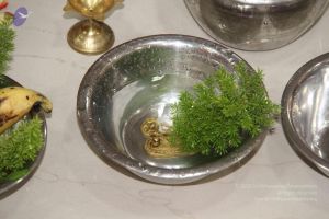 20130916 Photo 1077 1ssG8j23NoECTPHAR9XqBVptPNezBKNbz.JPG