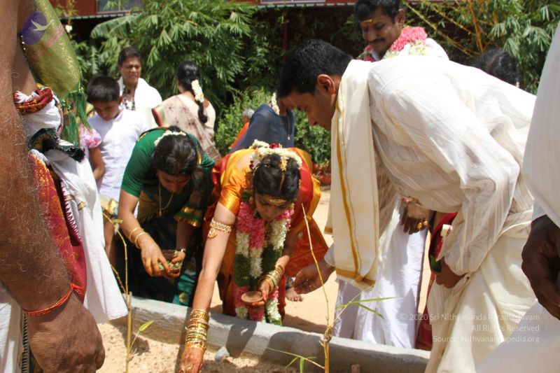 File:20130916 Photo 1717 1dkVpzg2DwFrV0ywv95Yheh9-N7zSkxqS.JPG