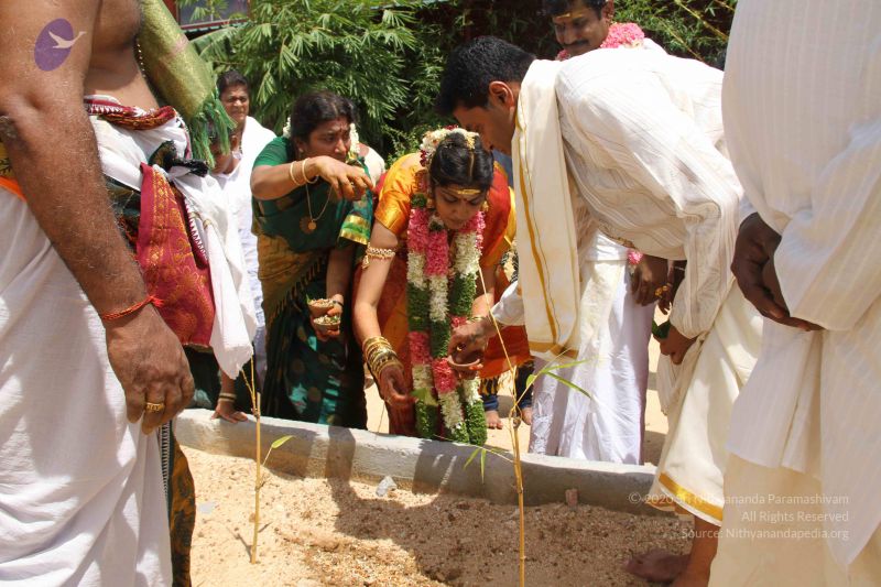 File:20130916 Photo 1718 1jvsWltaGNQXZ17Max4gxYkudWgoNYPK2.JPG