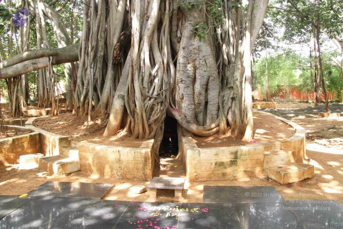 20130918 Photo 1053 1b8paOoHW8bidyyNBMjJiajX2o8Jm7XSn.JPG