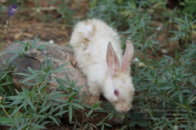 20130925 Photo 1085 119MKoL-ggAI4oxQacjTH BtNIsMzoAv0.JPG