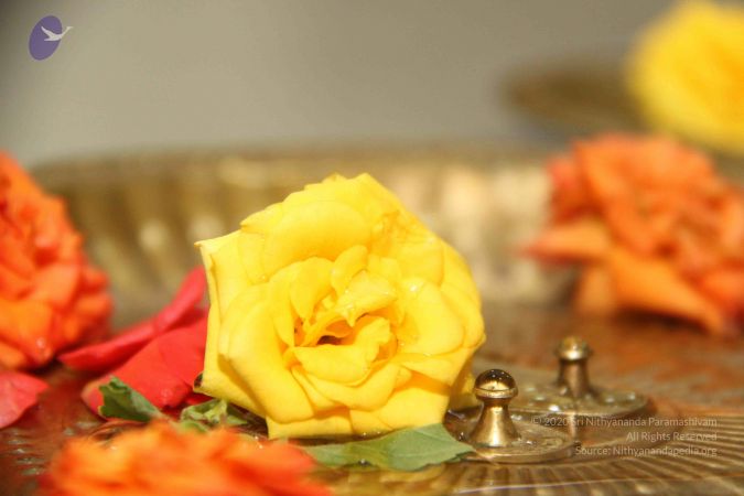 20130927 Photo 1025 1IWdmYgudkZMxo48Qeo1eJrUJYGIaf 76.JPG