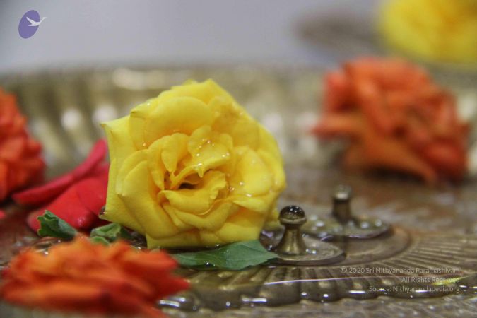 20130927 Photo 1026 1qW-xEFNtiP0ZIhlgoo0pEjkYZvtrkrs3.JPG