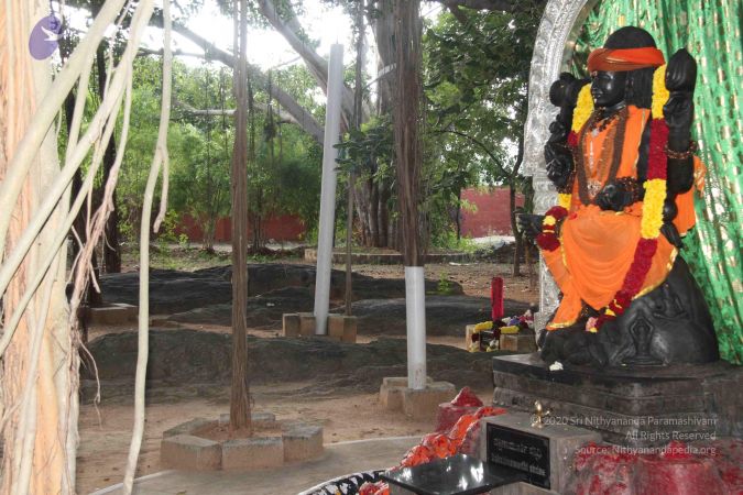 20130927 Photo 1105 1JZojFresg9mP1lZ03c1VHcL8hw64bv2U.JPG