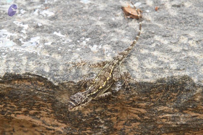 20130930 Photo 1002 1DwsFjPv5OjAyR1FOjoONXWbgdK6RMIi2.JPG