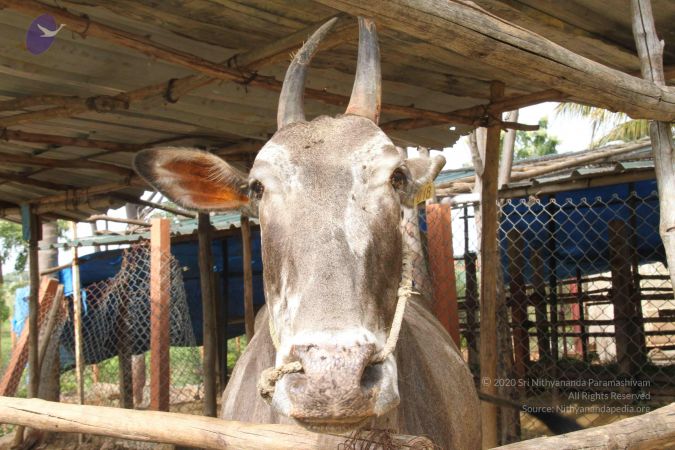 20130930 Photo 1007 1doQkFvcWF9OiMQ UECnFHoigzoh1Kt9P.JPG