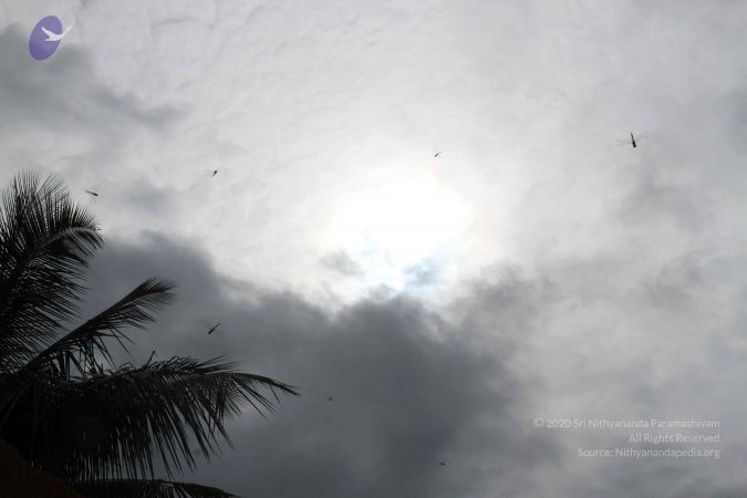 20130930 Photo 1010 15vUJXCcqwQVf2M808pvI9jBVxcW52Is2.JPG