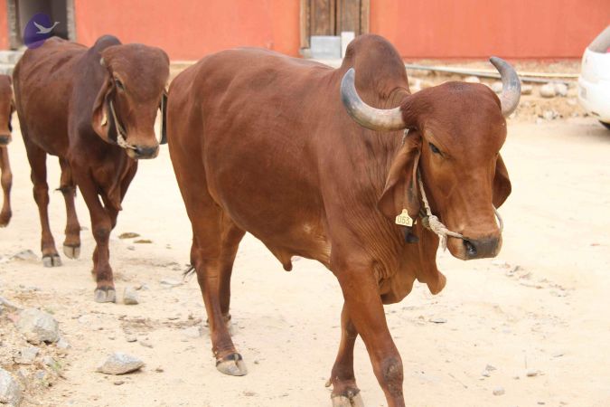 20130930 Photo 1015 1FwWfvXHXPz4IkHhO1C2gP9-7GaWqU2oc.JPG