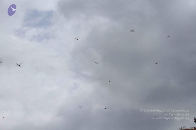 20130930 Photo 1018 1Ov6NRuunLHzlWUV osdpyaLJykBz8qFD.JPG