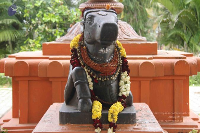 20130930 Photo 1314 10xdVObwJ87MEF50WFHT0ozeLAv53nkrM.JPG