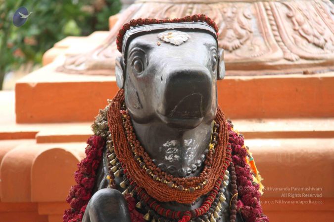 201309AF Photo 1111 1 ZZ8DlB4agzKbIQaJF2WkmF7AQFOiclT.JPG