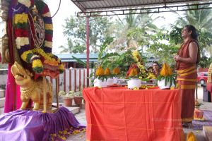 201309AF Photo 1237 1C-R7ZKn9 3Z3ELZoFxIjyWYXns2EZub1.JPG