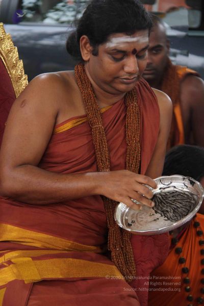 File:201309AF Photo 1264 12sealjSWTAu9Fq3rU8Y5Nc7-UoIit4vd.JPG