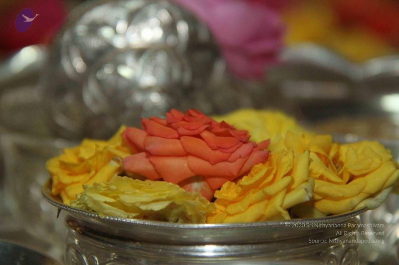 File:20131002 Photo 1000 1ux8xKfGD1MqjkZ7U41HkapZE21g5sSJH.JPG