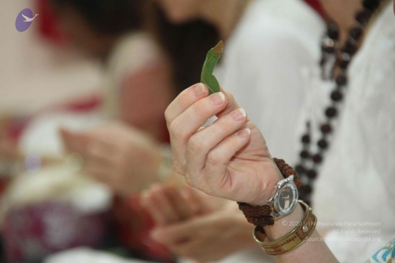 File:20131002 Photo 1024 1feAUZBNjQri1le4XTexulNLcBSKH03mA.JPG