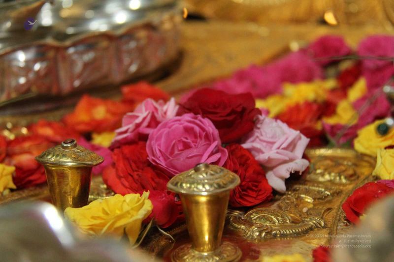 File:20131002 Photo 102 1Hv31ZLGb7j19vs4nHV-v1a4KQVshrvP1.jpg