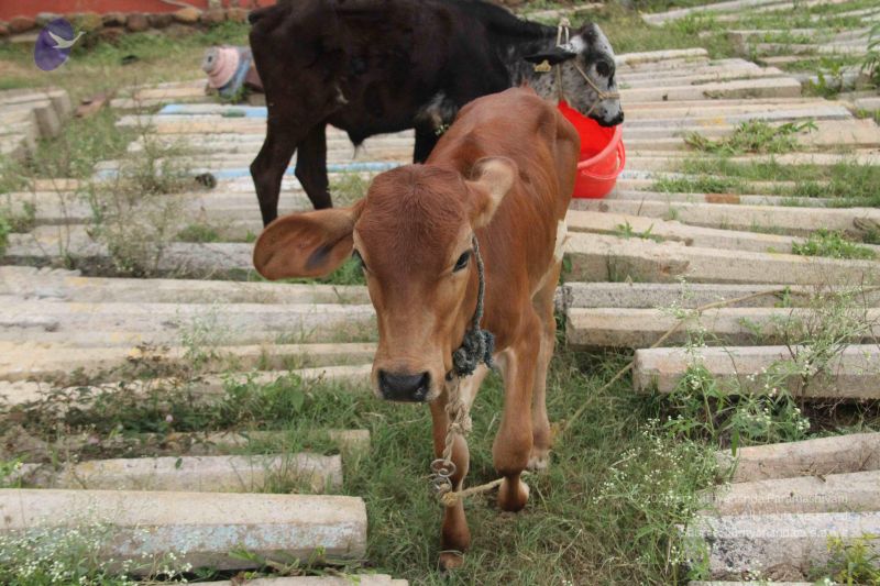 File:20131002 Photo 1173 1ODX-JmS3dtzj0yr6xs1Mx0PJ0kyKjmzX.JPG