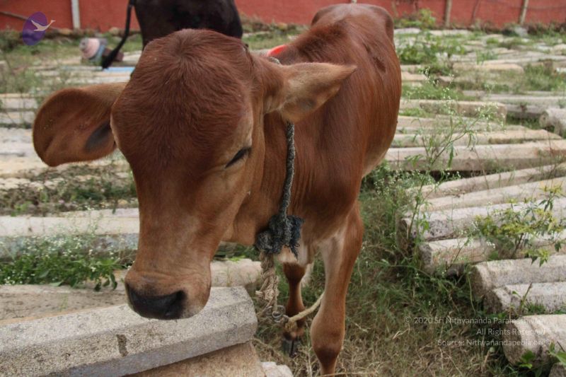 File:20131002 Photo 1174 1SaI2JOnBbF9qiD8bSMGCAFahj58cWd1C.JPG