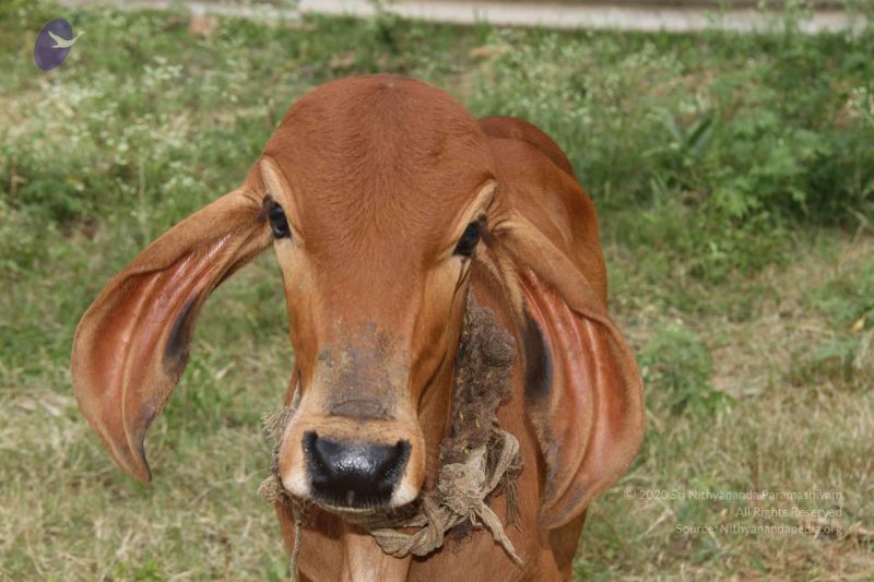 File:20131002 Photo 1178 1f0E-lKtB4 PSEBrBCm0LfmBhEC22-szP.JPG