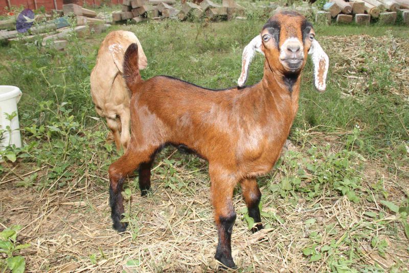 File:20131002 Photo 1179 1 cUnIqCNx9Si-QG3JDIGJUoyqNgtznIo.JPG