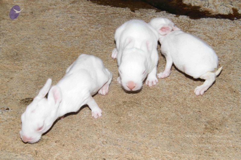 File:20131002 Photo 1180 1JYisvjREovn9qtW-B1CKsvVmPOUkA4Xy.JPG