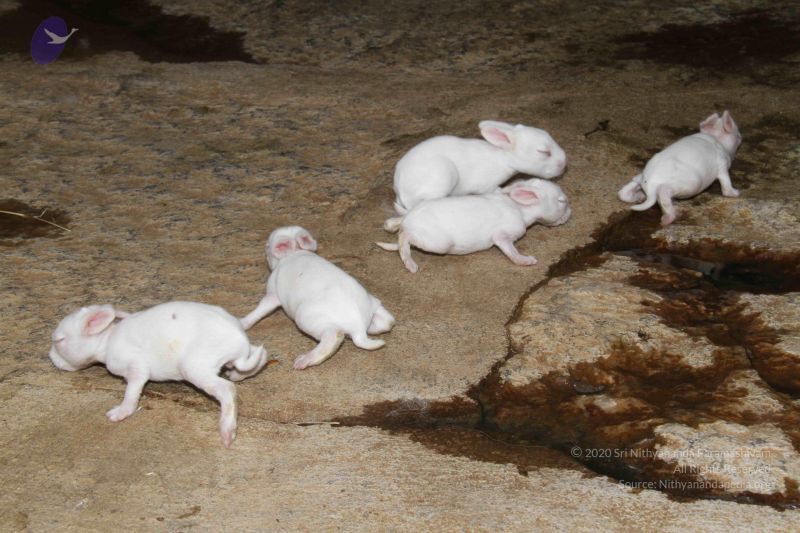 File:20131002 Photo 1184 1ogPOG 8StwmjiozTDlOA5MZrAhbK-K0w.JPG