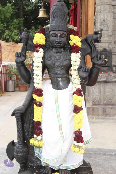 File:20131002 Photo 1209 1Vl27ZwBRYLSTe5wstKY0bRP qnWWtQzd.JPG