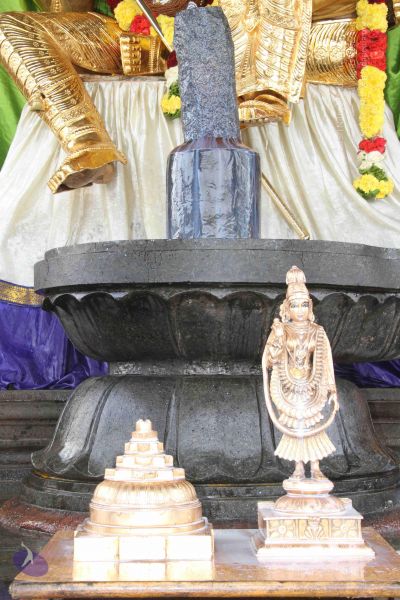 File:20131002 Photo 1219 1sF6h4VYYAJZYs5pVV5VSTwsmzDkmMkKC.JPG