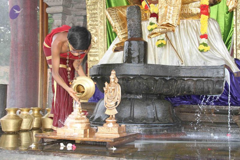 File:20131002 Photo 1225 1nzleeB9VK1X8AO-t3kxr35GCaWUHjlGO.JPG