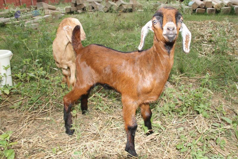 File:20131002 Photo 222 15ZtxOWSSknjXnmNisp-i-EEtrsNbaosF.jpg