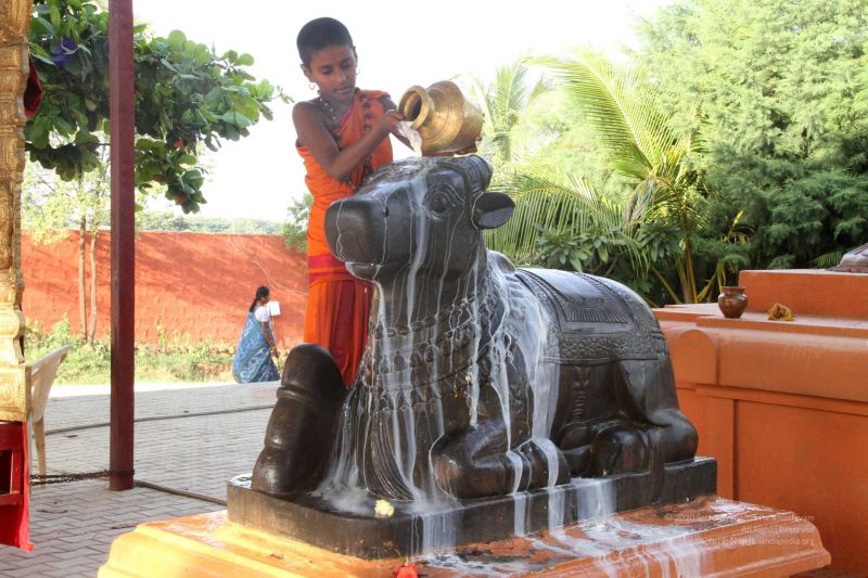 File:20131002 Photo 254 1miHEVcd7BDZthFFyvosKJ9cGW6vBPygw.jpg