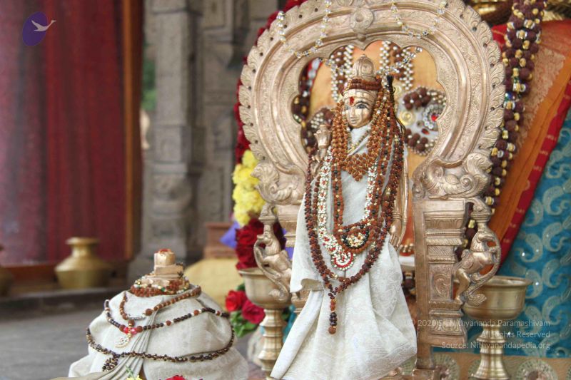 File:20131007 Photo 1157 17Y9QLweUI8BZrZpyk5WtxvBUeiebI mF.JPG