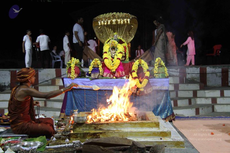 File:20131007 Photo 1259 1xALtZZPRpItVwpTRrlDmDyEu0MicfTTO.JPG