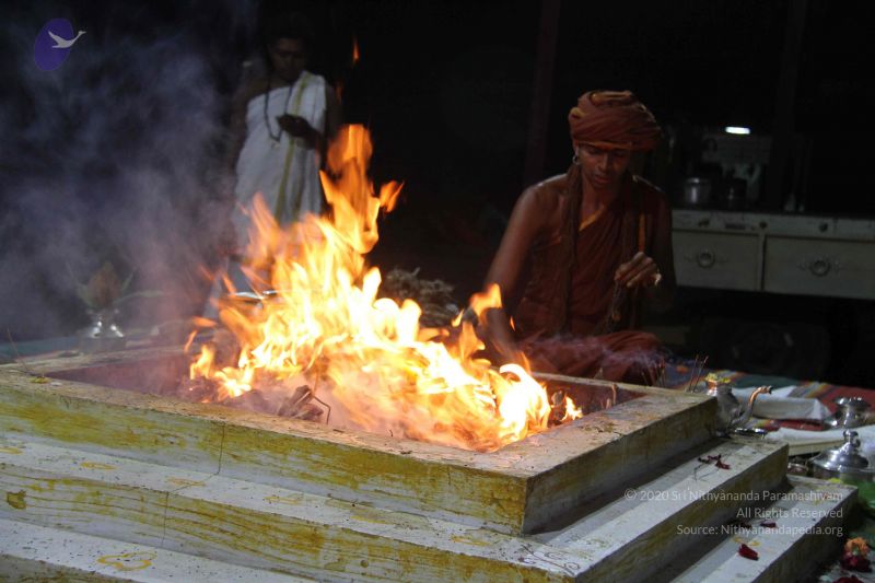 File:20131007 Photo 1266 17fiOI1avz7K2y1YRqEUbAE3brOdYRAlt.JPG