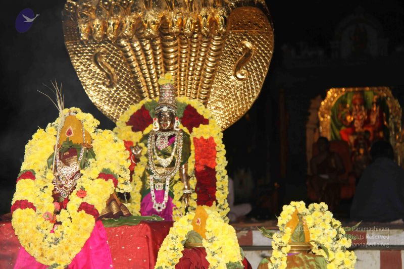 File:20131007 Photo 1307 1L4xVByucB2IPGuuXBXiHC0XdY9UgUgi-.JPG