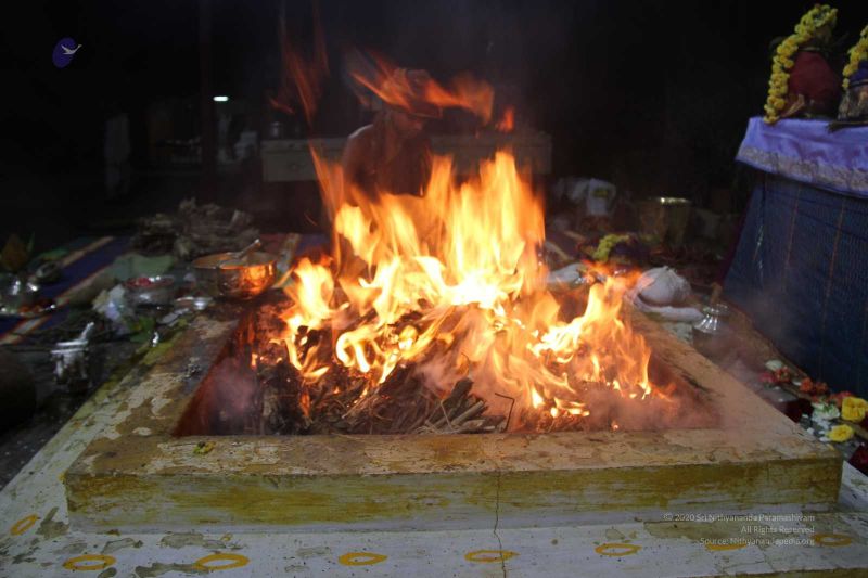 File:20131007 Photo 390 1LdtUgla24fqhUe6-cs-fCpha3LUQuRnU.jpg