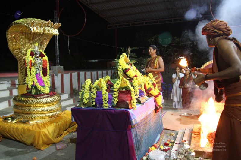 File:20131007 Photo 430 1ve-FeNtG6gm1MpjqaS5wDVGSykgxLF7W.jpg