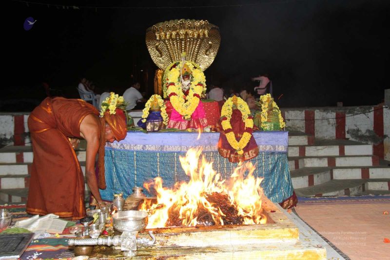 File:20131007 Photo 435 1VsP9bsOhuxO4d mU6rIx6ngZ5QhHO96.jpg