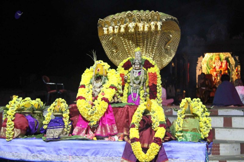 File:20131007 Photo 453 1sDNm49ID6f4AOLm1fNsM8hHFhPfiRKGV.jpg