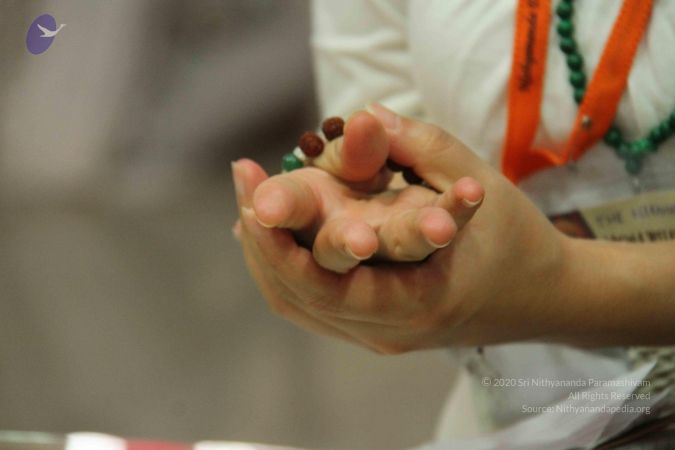 20131009 Photo 1079 1nnlm-EnZriTIWkh9nw1vyl4nMiDoX6U8.JPG