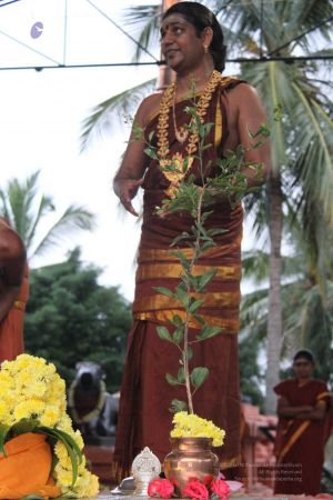 20131010 Photo 320 1EudCZZz X1jUbJq0tKXheVsw-YdpQzgM.jpg